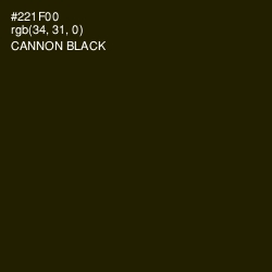 #221F00 - Cannon Black Color Image